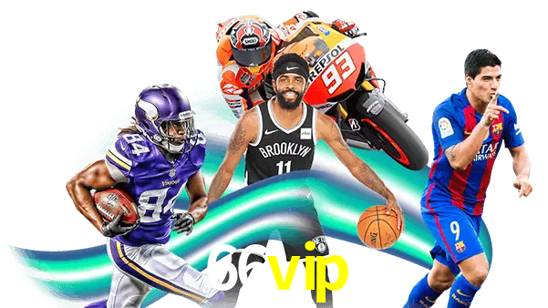 66vip